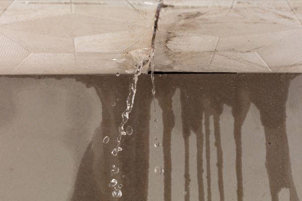 Professional Flood Damage Cleanup technician working in New Tazewell, TN